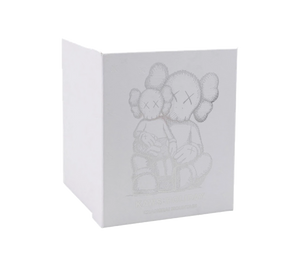 Boneco KAWS Holiday Changbai Mountain Vinyl Figure 'Brown' Marrom – embalagem